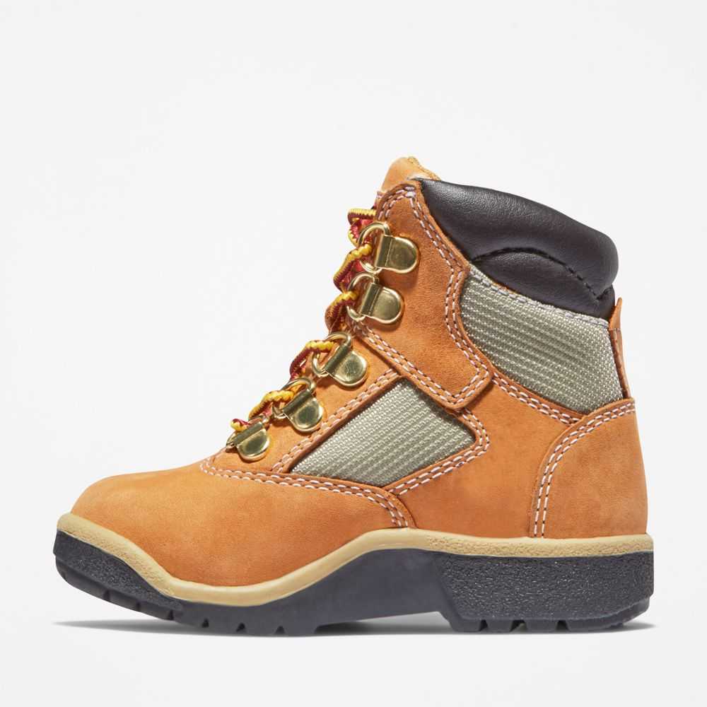 Buty Taktyczne Dziecięce Timberland Pro 6 Inch Brązowe | Polska-9624157