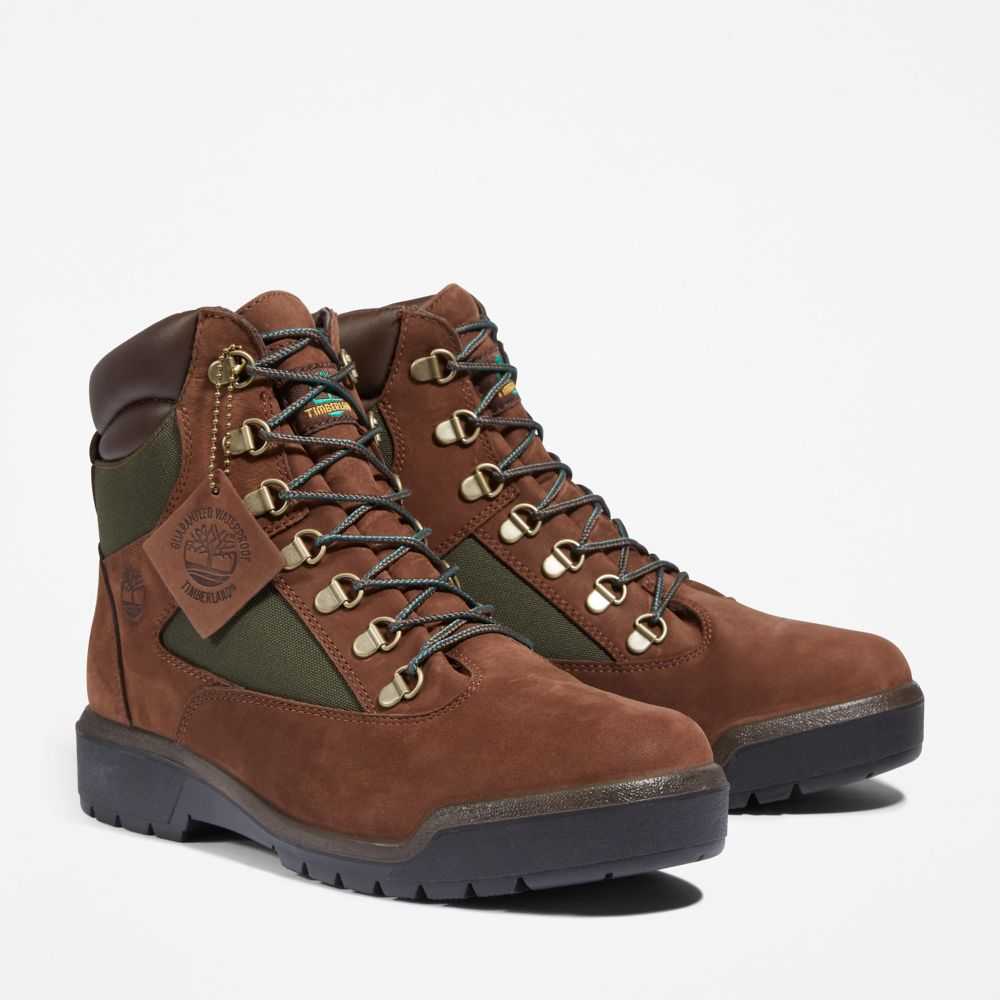 Buty Taktyczne Męskie Timberland Pro 6 Inch Ciemny Brązowe Zielone | Polska-7283916