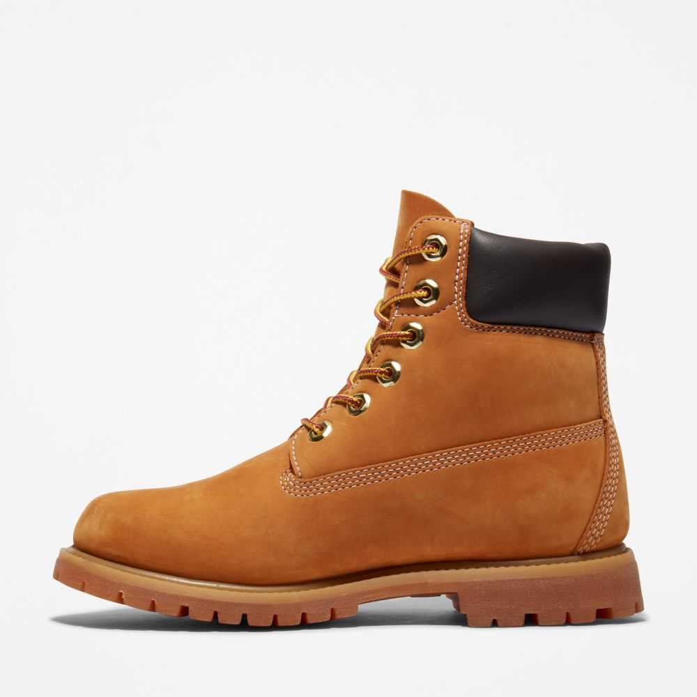 Buty Wodoodporne Damskie Timberland Pro Premium 6 Inch Brązowe | Polska-5247390