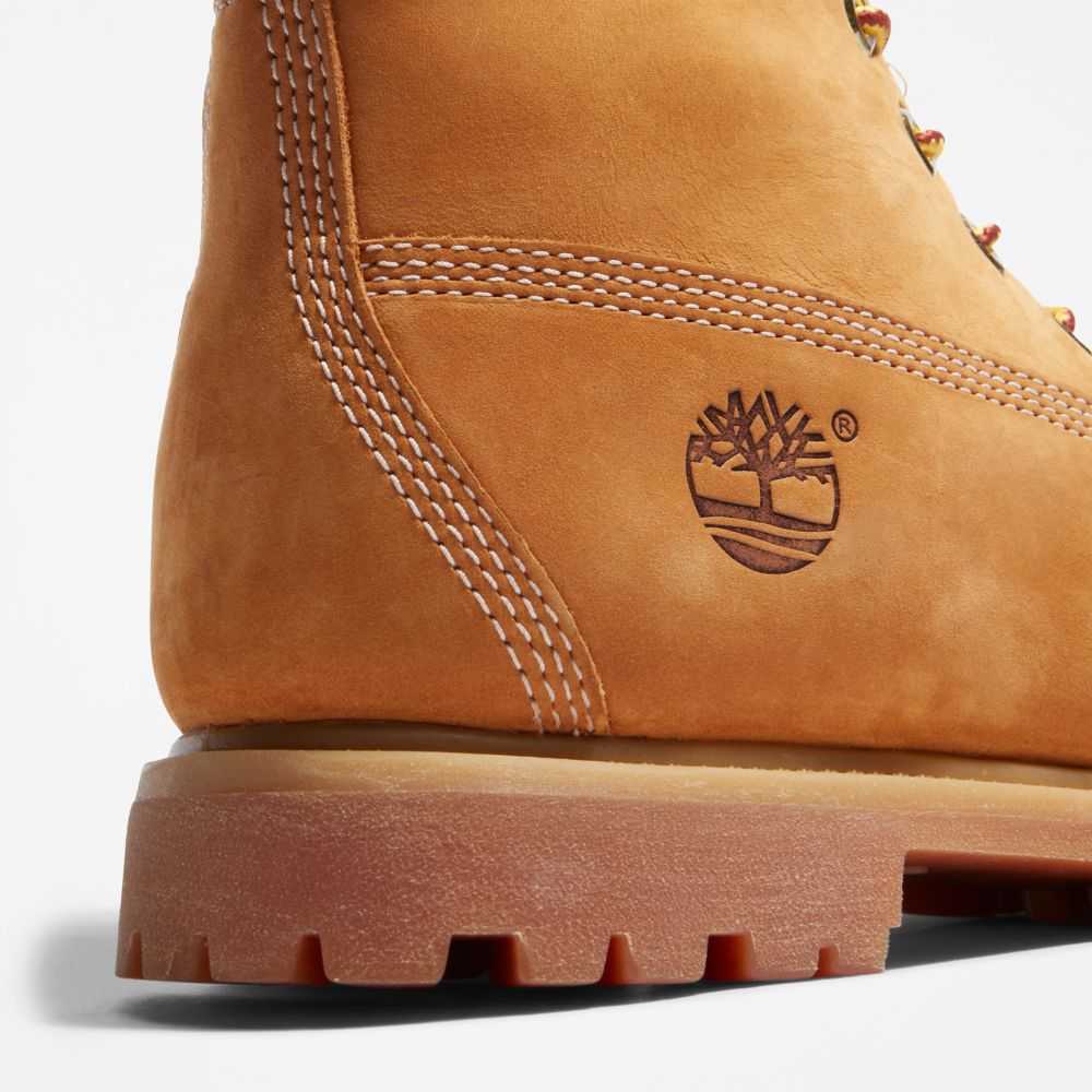 Buty Wodoodporne Damskie Timberland Pro Premium 6 Inch Brązowe | Polska-5247390