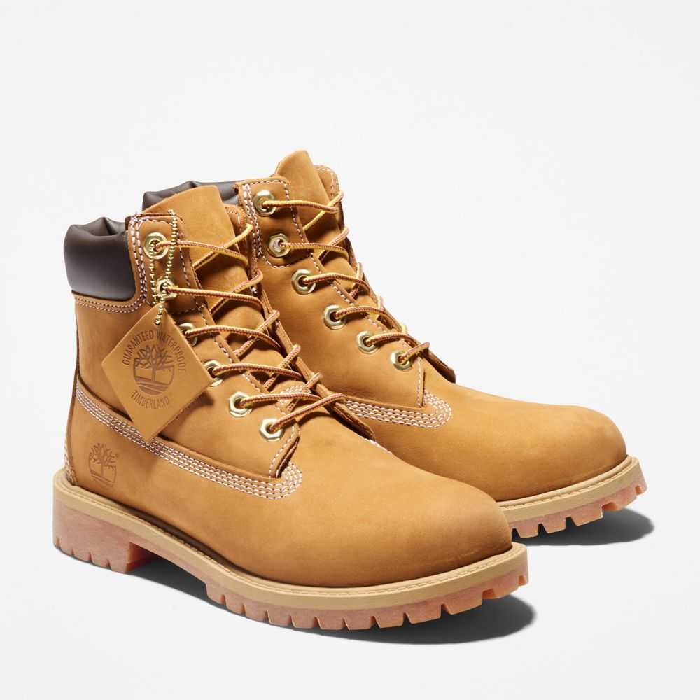 Buty Wodoodporne Dziecięce Timberland Pro Premium 6 Inch Brązowe | Polska-6213984