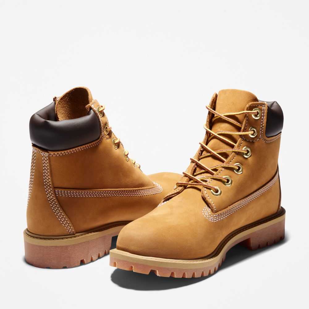 Buty Wodoodporne Dziecięce Timberland Pro Premium 6 Inch Brązowe | Polska-6213984