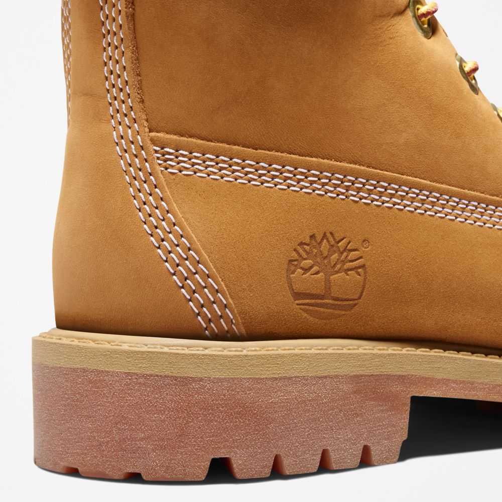 Buty Wodoodporne Dziecięce Timberland Pro Premium 6 Inch Brązowe | Polska-6213984