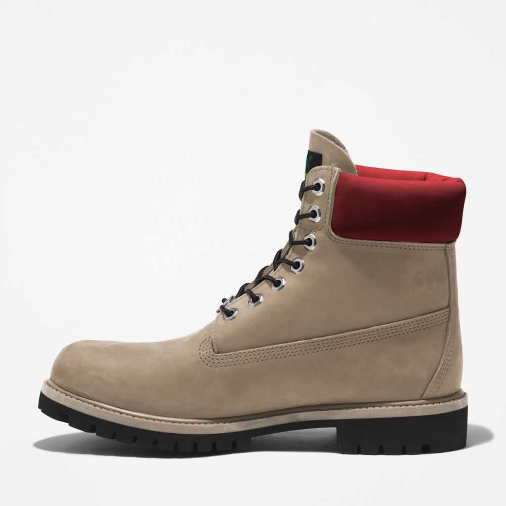 Buty Wodoodporne Męskie Timberland Pro Premium 6 Inch Głęboka Beżowe | Polska-1637908