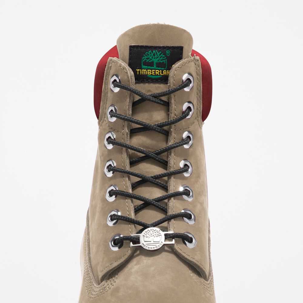 Buty Wodoodporne Męskie Timberland Pro Premium 6 Inch Głęboka Beżowe | Polska-1637908