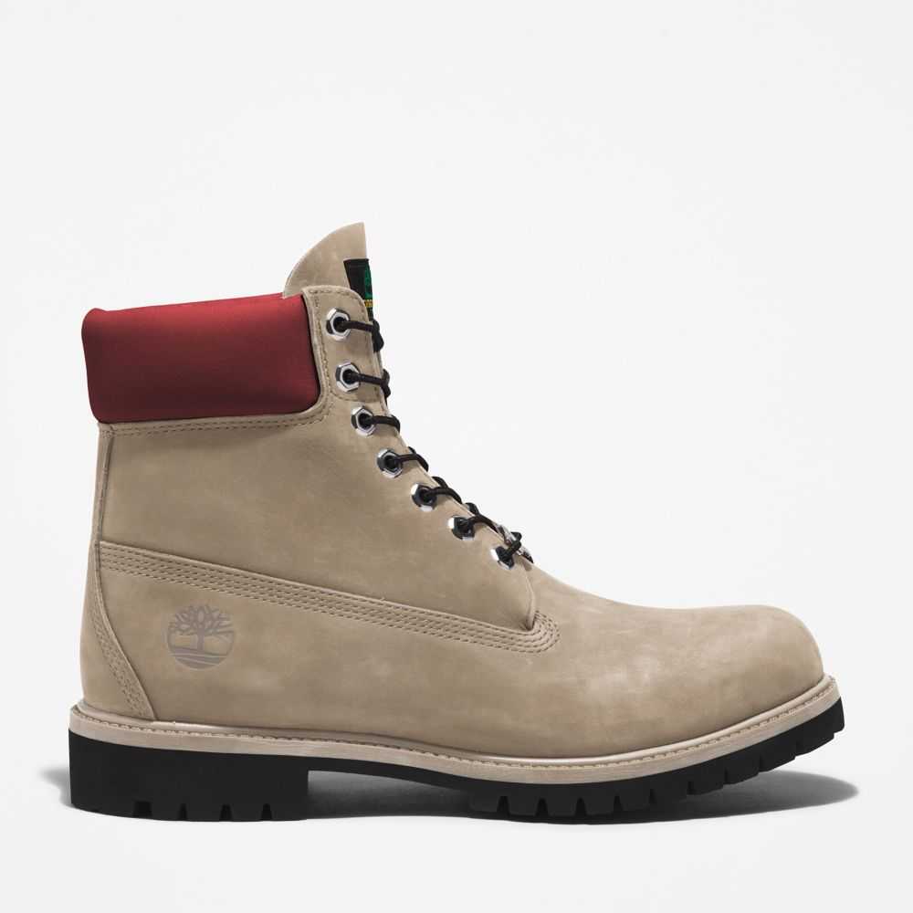 Buty Wodoodporne Męskie Timberland Pro Premium 6 Inch Głęboka Beżowe | Polska-1637908