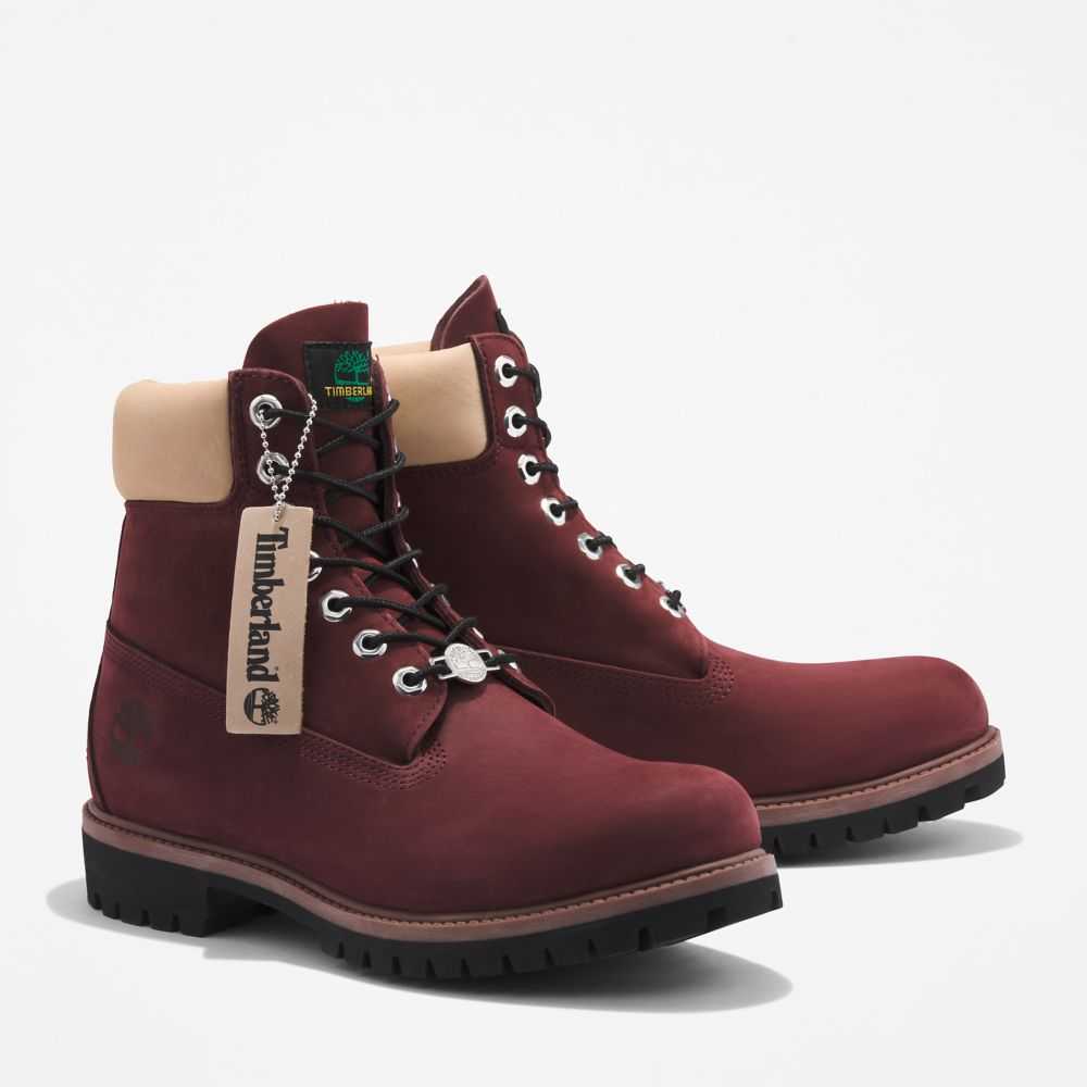 Buty Wodoodporne Męskie Timberland Pro Premium 6 Inch Bordowe | Polska-3752690