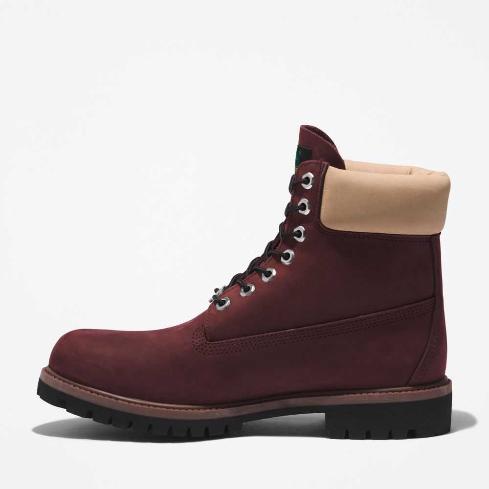 Buty Wodoodporne Męskie Timberland Pro Premium 6 Inch Bordowe | Polska-3752690