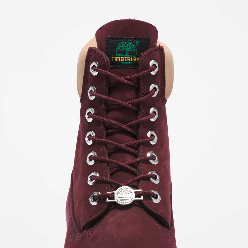 Buty Wodoodporne Męskie Timberland Pro Premium 6 Inch Bordowe | Polska-3752690