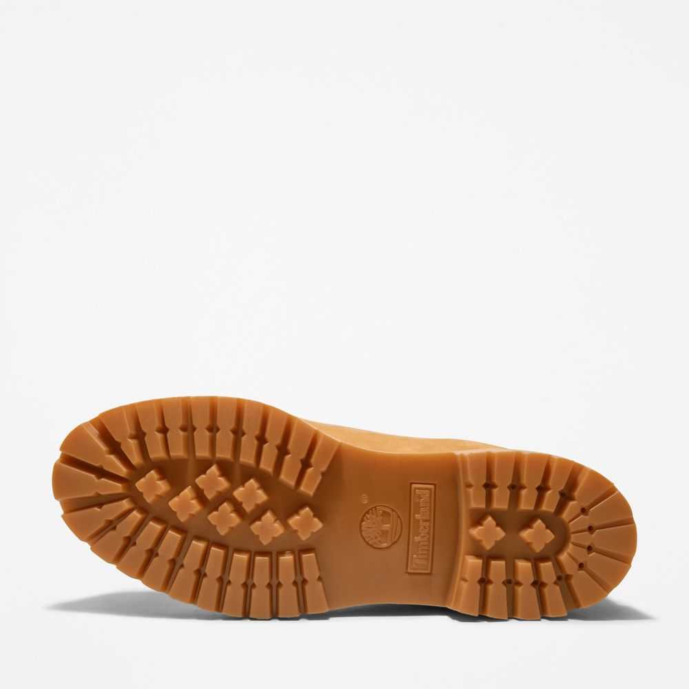 Buty Wodoodporne Męskie Timberland Pro Premium 6 Inch Brązowe | Polska-5123980