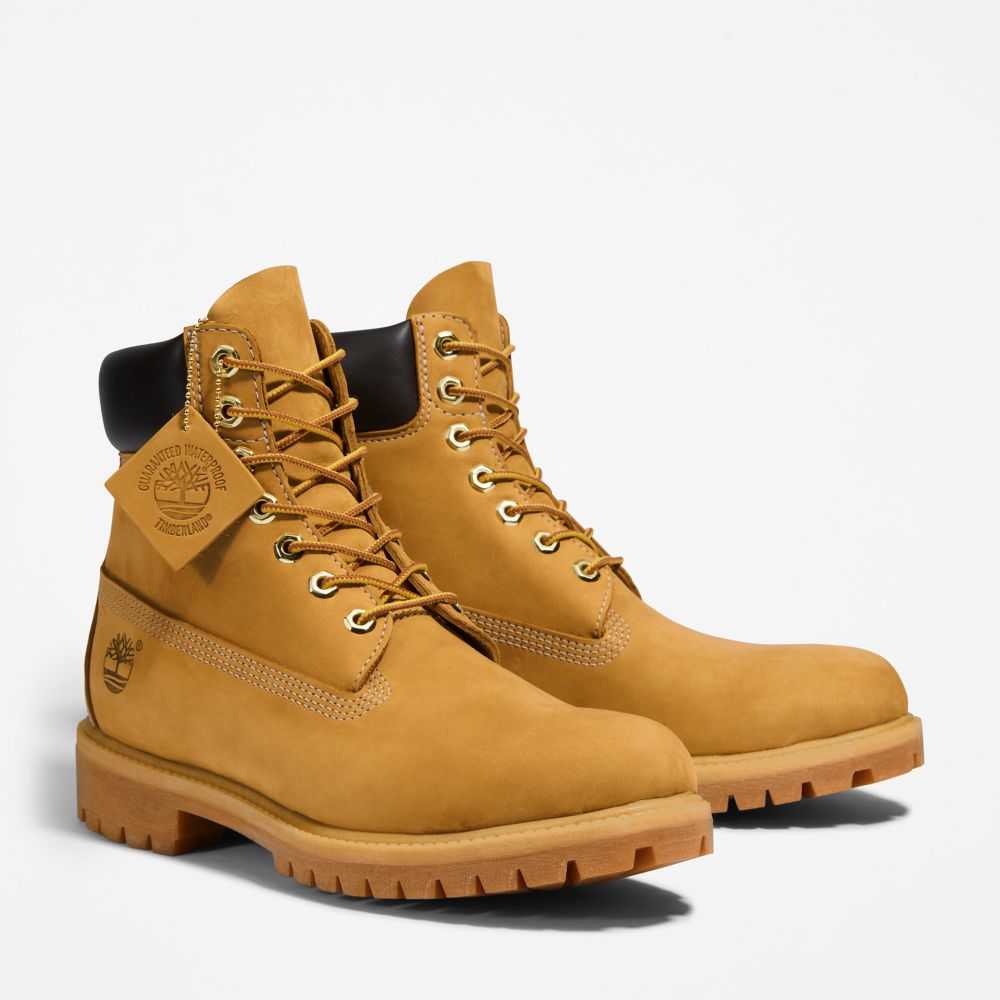 Buty Wodoodporne Męskie Timberland Pro Premium 6 Inch Brązowe | Polska-5123980