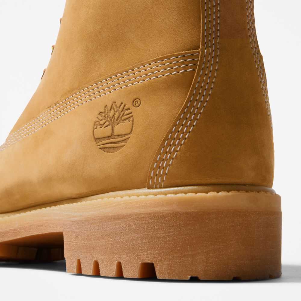 Buty Wodoodporne Męskie Timberland Pro Premium 6 Inch Brązowe | Polska-5123980