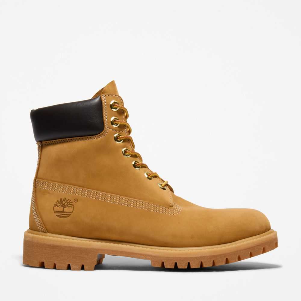 Buty Wodoodporne Męskie Timberland Pro Premium 6 Inch Brązowe | Polska-5123980