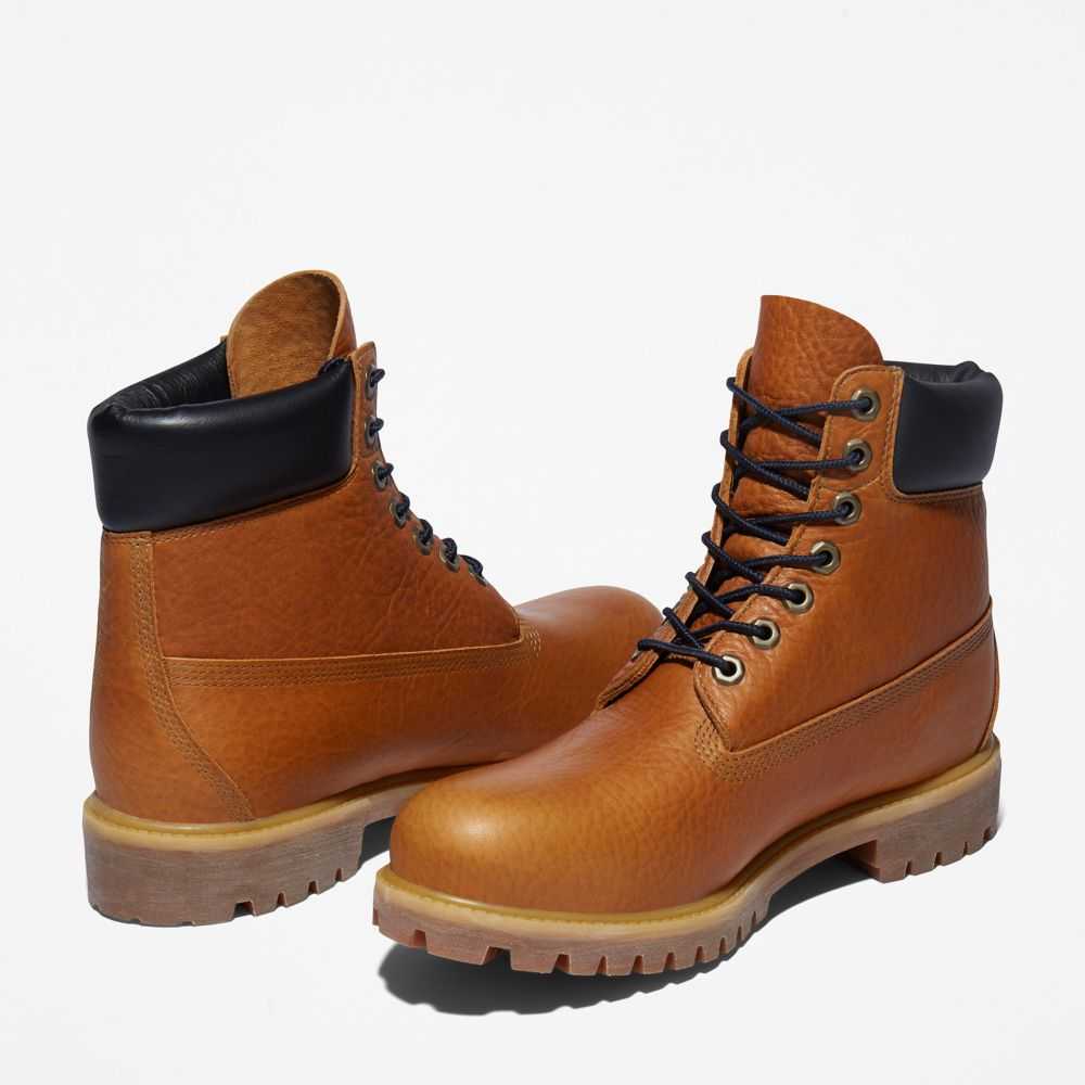 Buty Wodoodporne Męskie Timberland Pro Premium 6 Inch Brązowe | Polska-5378246