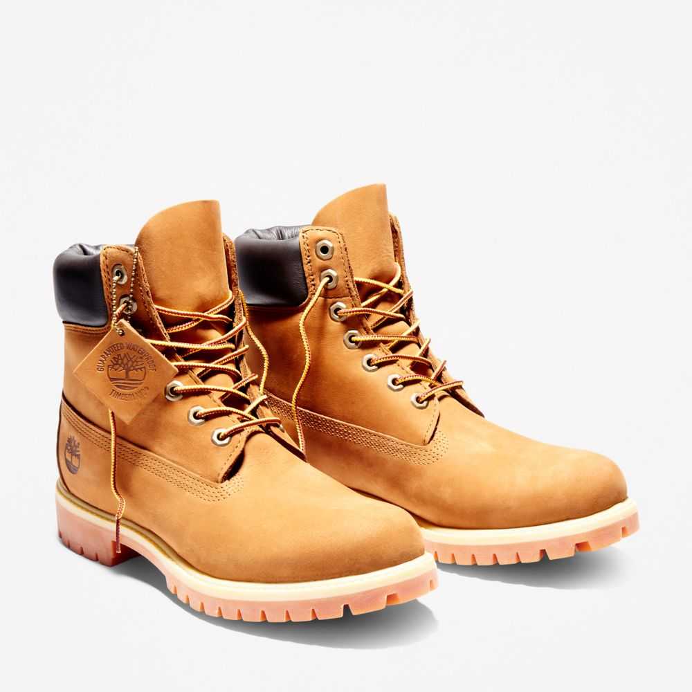 Buty Wodoodporne Męskie Timberland Pro Premium 6 Inch Brązowe | Polska-5927136