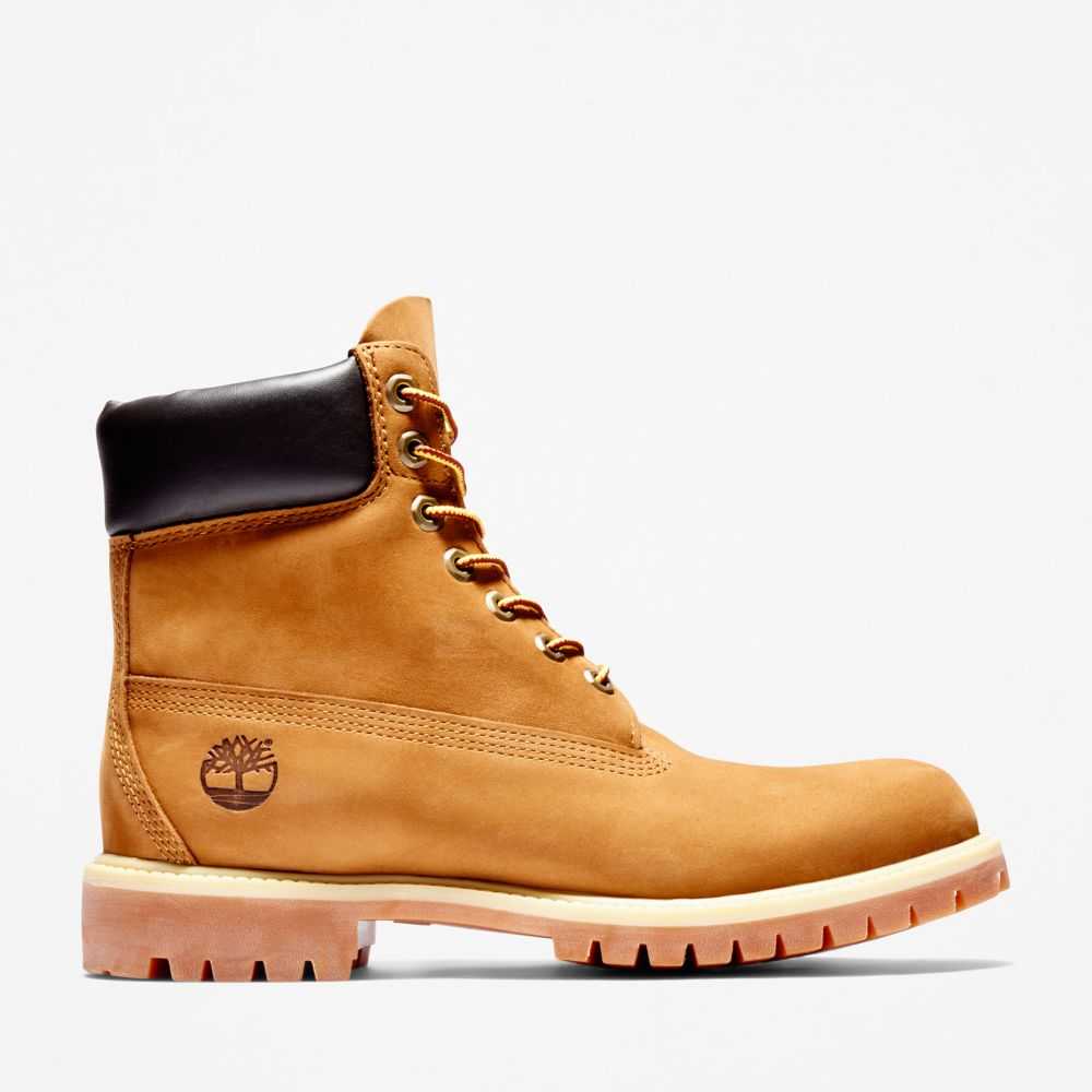 Buty Wodoodporne Męskie Timberland Pro Premium 6 Inch Brązowe | Polska-5927136