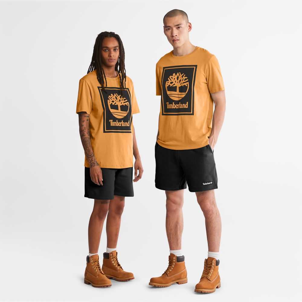 Koszulki Damskie Timberland Pro Logo Brązowe Czarne | Polska-5091764