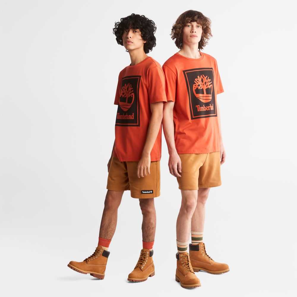 Koszulki Damskie Timberland Pro Logo Pomarańczowe Czarne | Polska-1857239