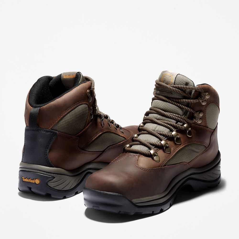 Kozaki Trekkingowe Damskie Timberland Pro Chocorua Trailowe Mid Nieprzemakalne Ciemny Brązowe Zielone | Polska-8472613