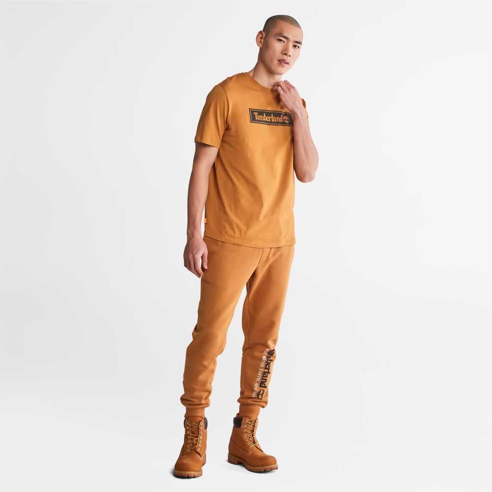 Spodnie Męskie Timberland Pro Earthkeepers Brązowe | Polska-7241386