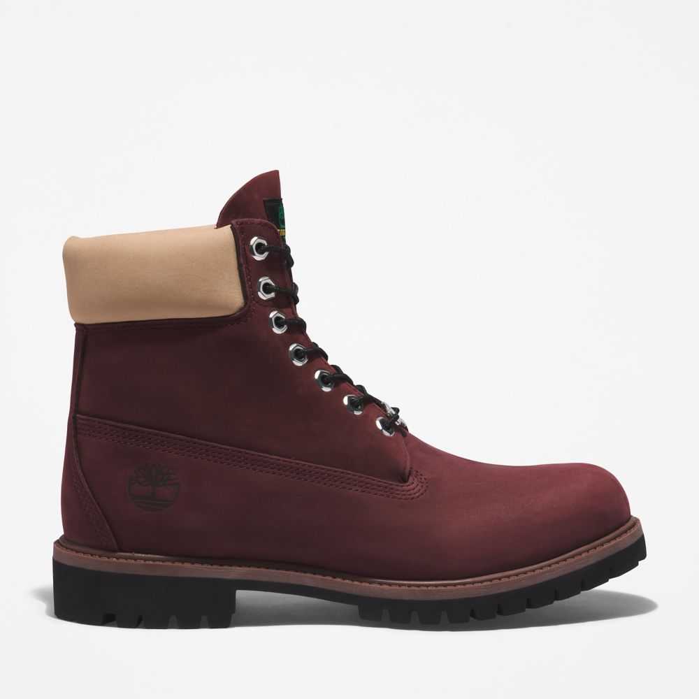 Buty Wodoodporne Męskie Timberland Pro Premium 6 Inch Bordowe | Polska-3752690